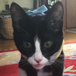 Meet your Posher, Eva